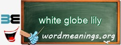 WordMeaning blackboard for white globe lily